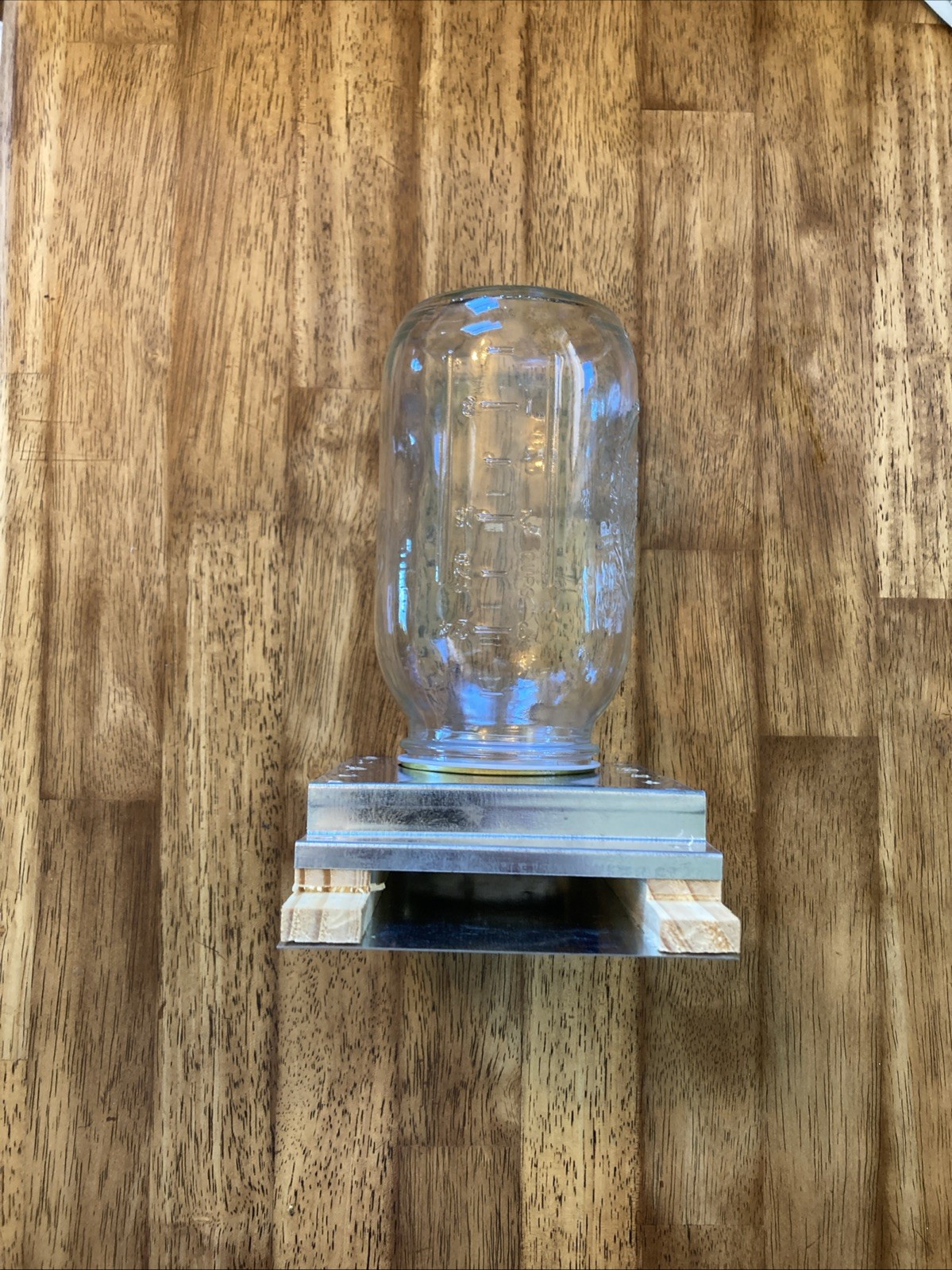 Entrance Feeder for Mason Jar Large/small entrance Borgman Bee Feeder