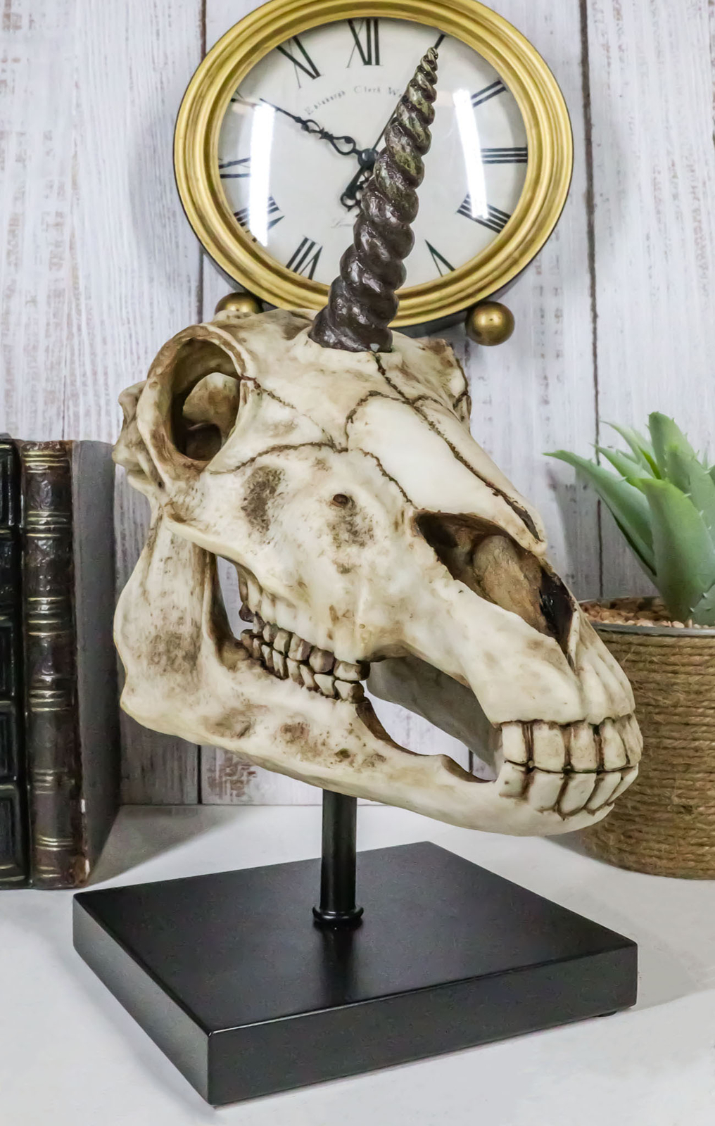 Rare Fossil Unicorn Skull With Sacred Horn Skull Figurine On Museum Pole Mount