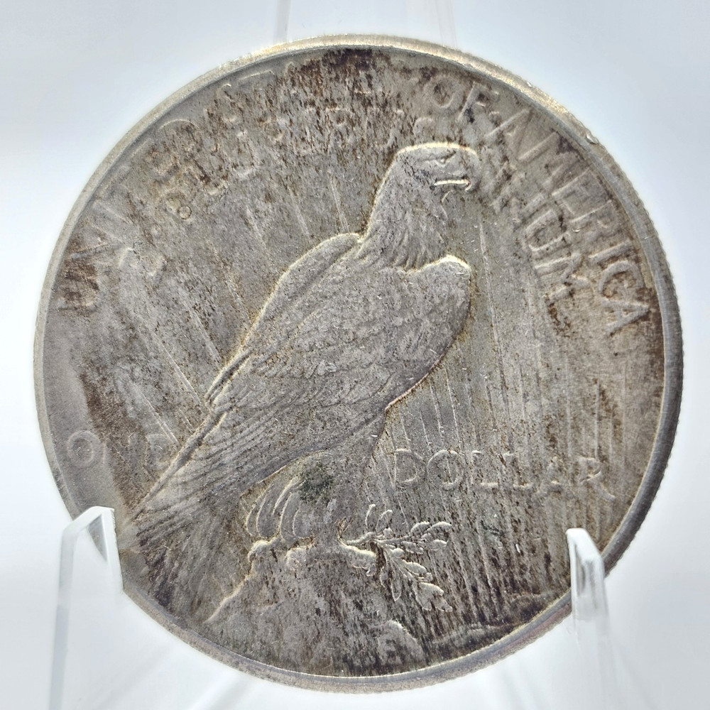 1925 Peace Dollar Darker Tone 90% Silver