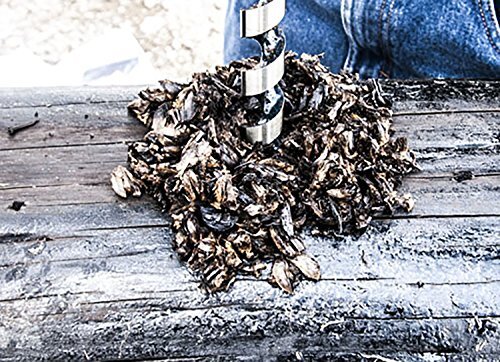 Century Drill 38113 Ship Auger Extension, 1/2" Shank