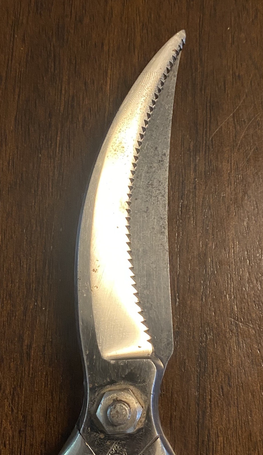 S. R. Droescher SRD Solingen 10-Inch Steel Secateur Pruner