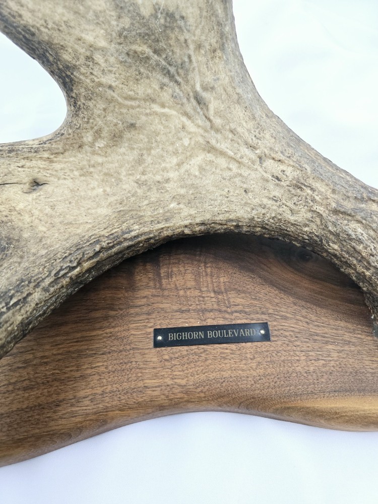 Monte Baker Moose Antler Carving 28x22"
