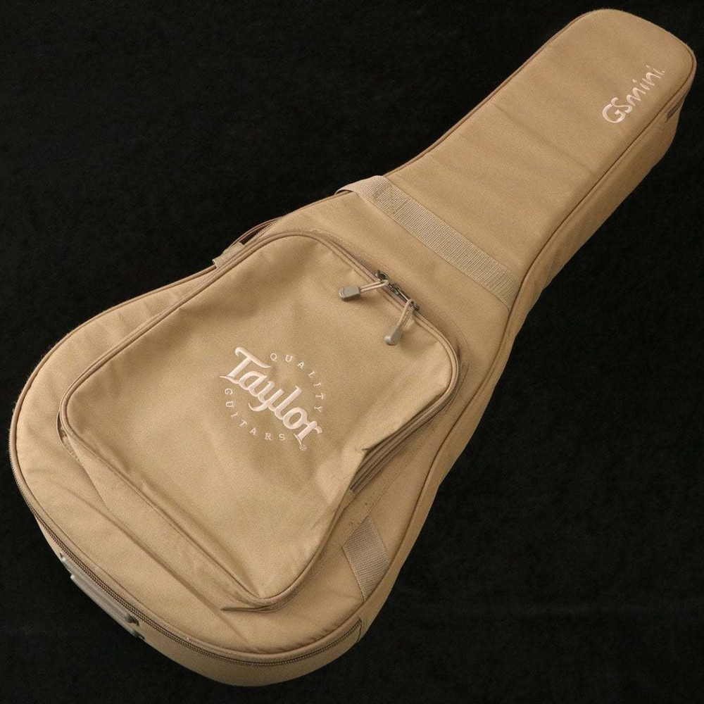 Taylor GS MINI (no260421)
