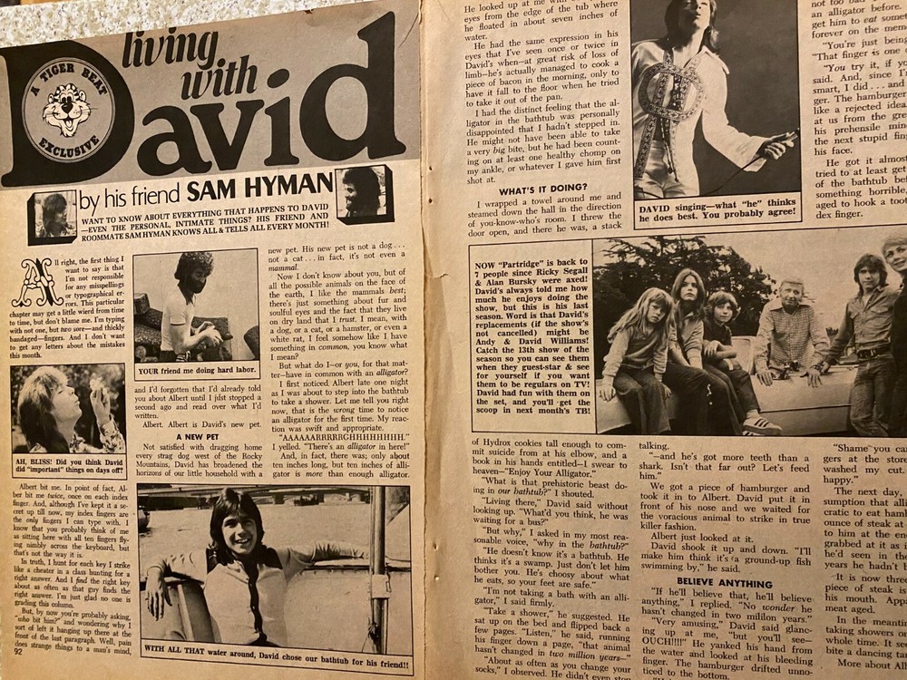 David Cassidy, Two Page Vintage Clipping