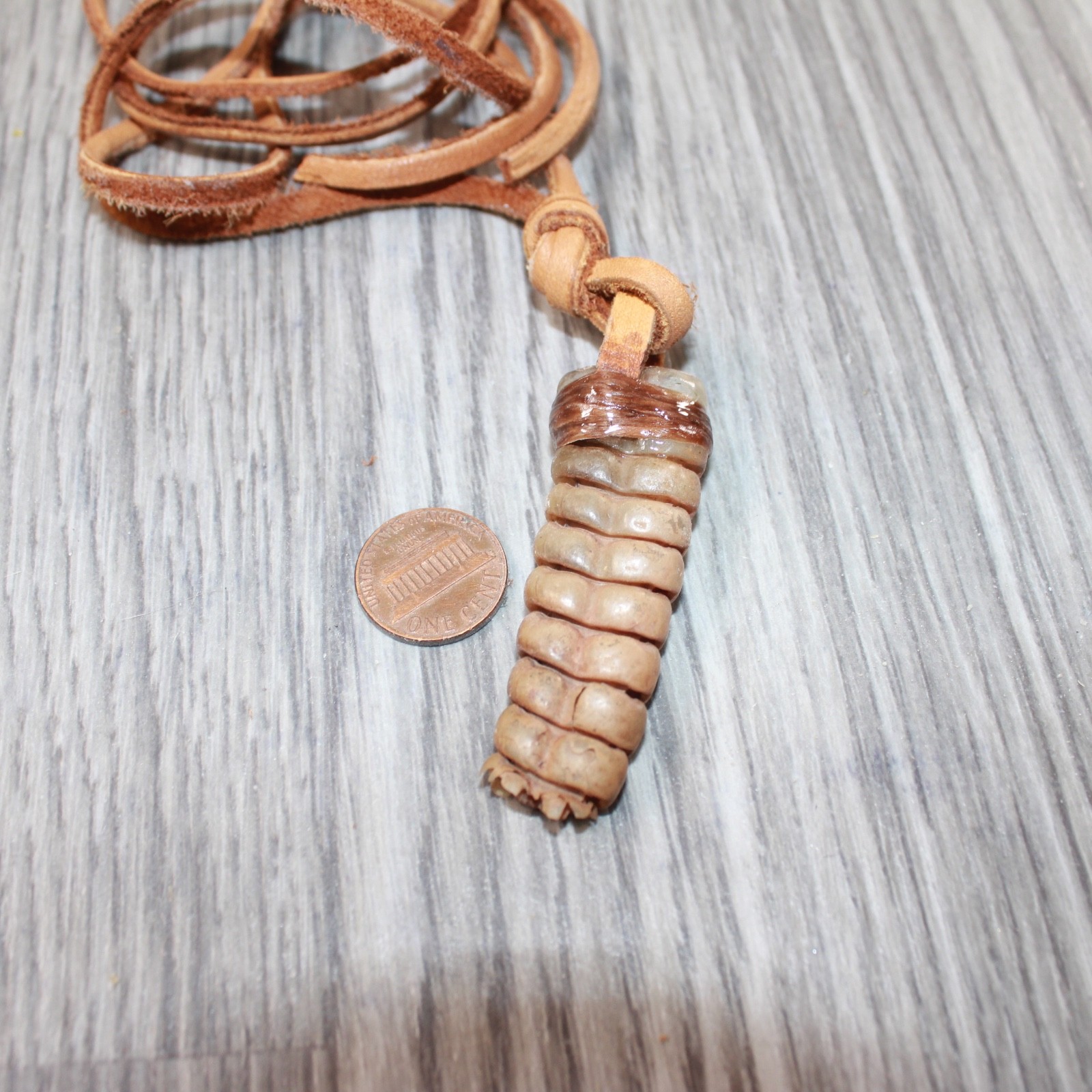 Very Large Rattlesnake Rattle Necklace #6663 Mountain Man Necklace