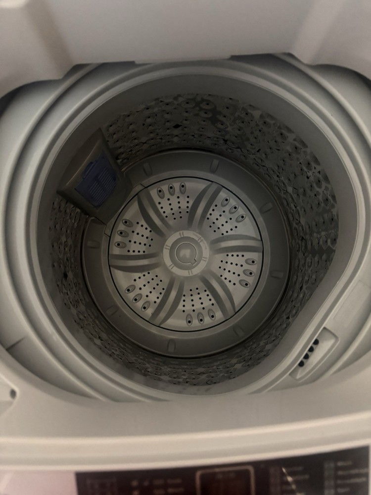 Giantex Easy Life Fully Automatic Compact Top-Loading Washing Machine White/Gray
