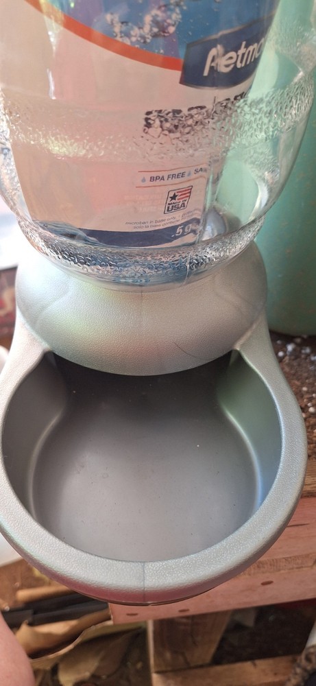 Petmate Replenish Pet Waterer with Microban