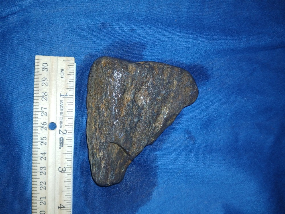 5. oz Texas Petrified Wood