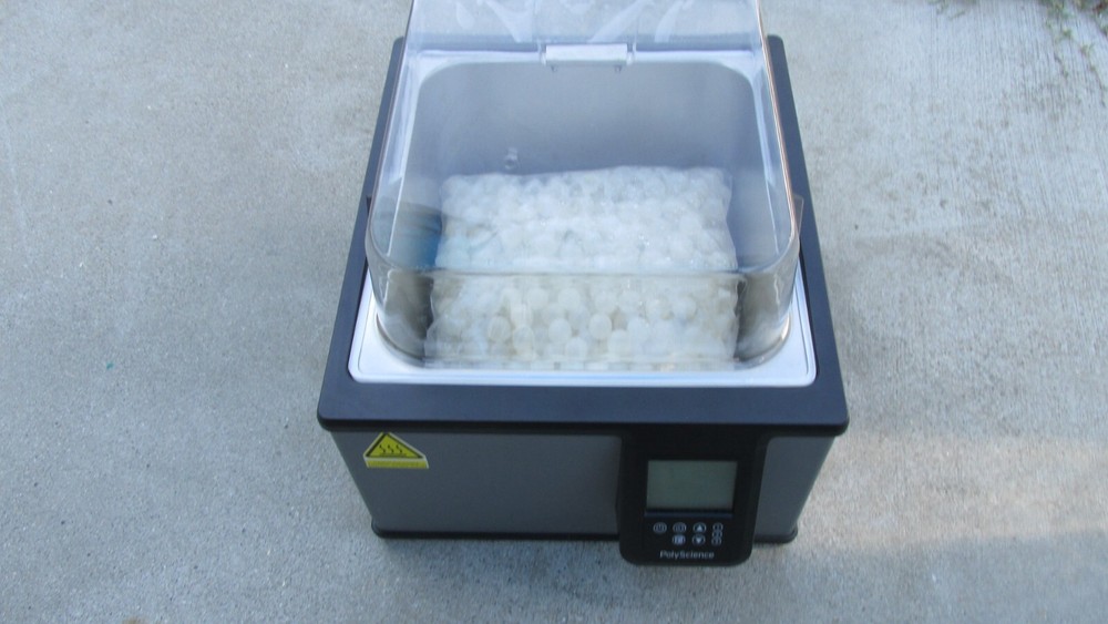 Polyscience wb10 digital water bath nice shape with presets