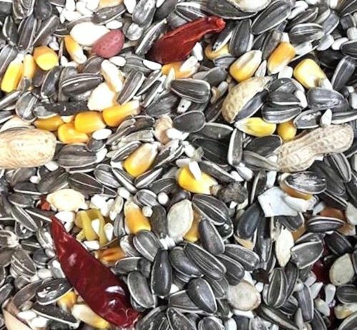 Medium & Large Hookbill Cuisine PARROT Food Mix Cockatoo African Grey Macaw