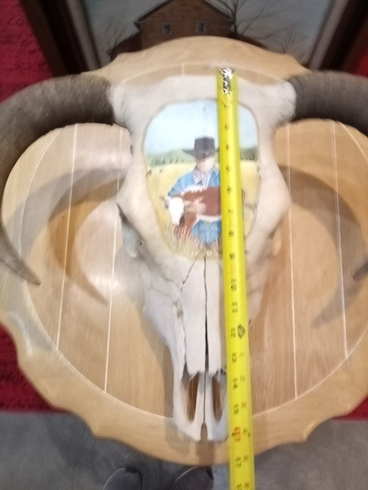Charles E. Palmer Signed and Painted Bison Skull