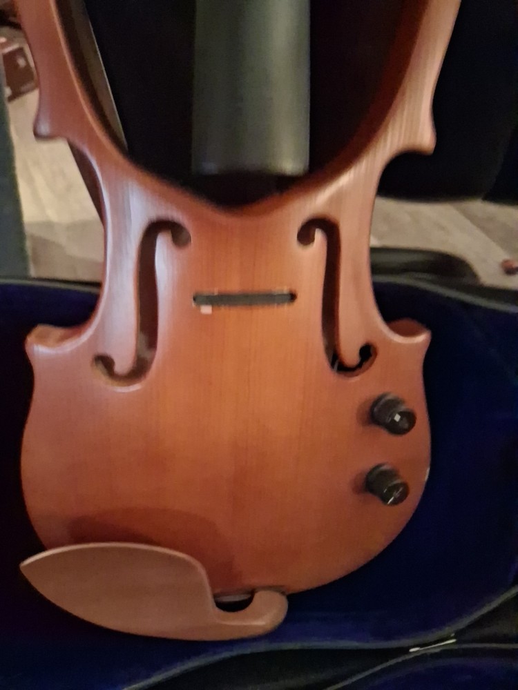 Electric Violin And Case