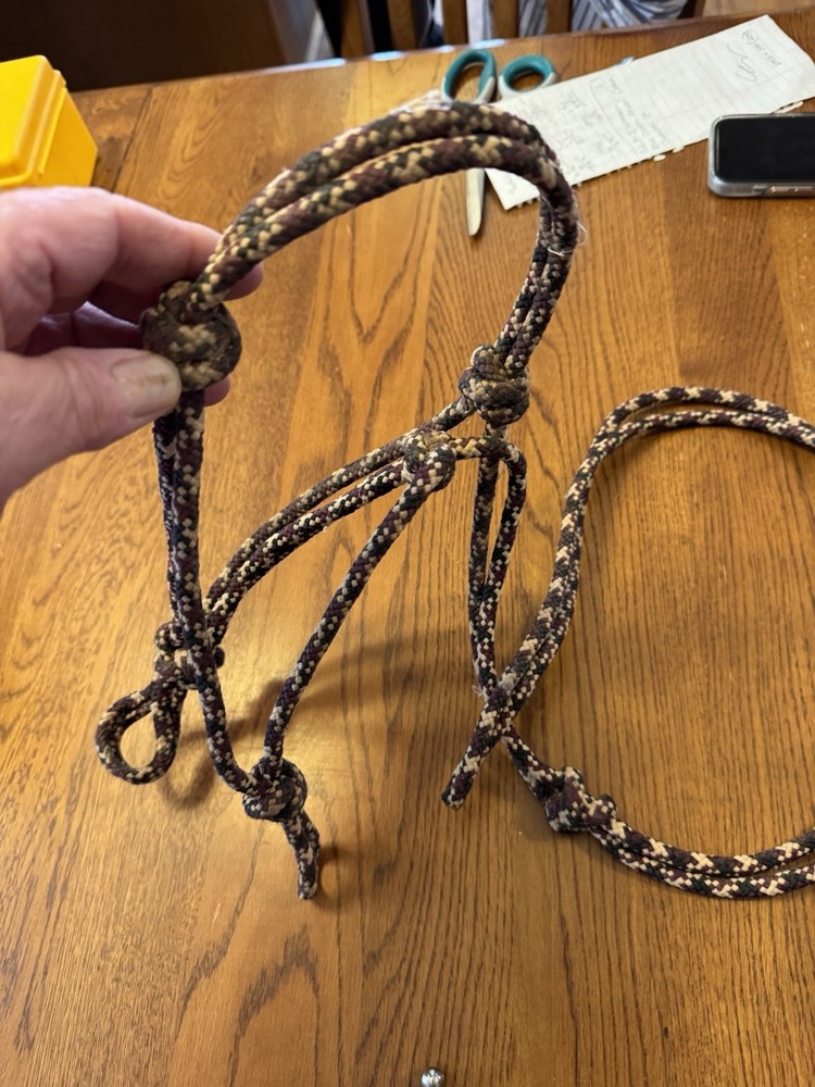 Halter And Cheek Bit I Think Not Sure