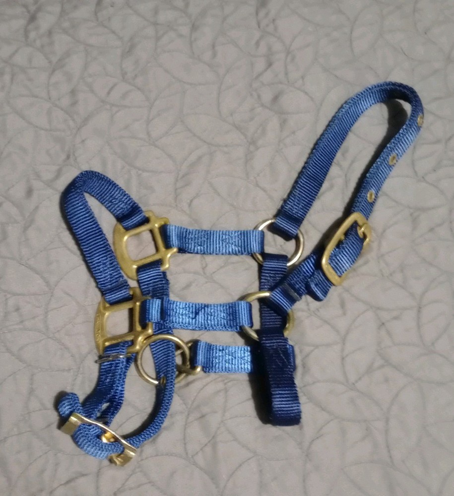 Weaver Nylon Foal Halter, Navy Blue