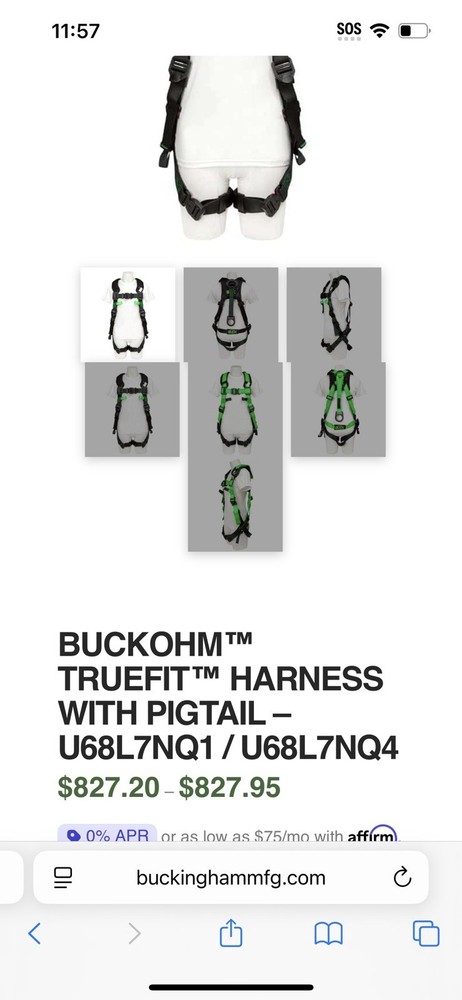 Buckingham Climbing Lineman