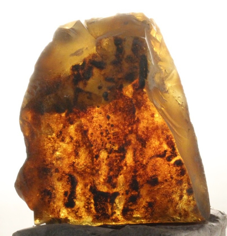++ CHOICE! Mexican Amber Raw 29g ++