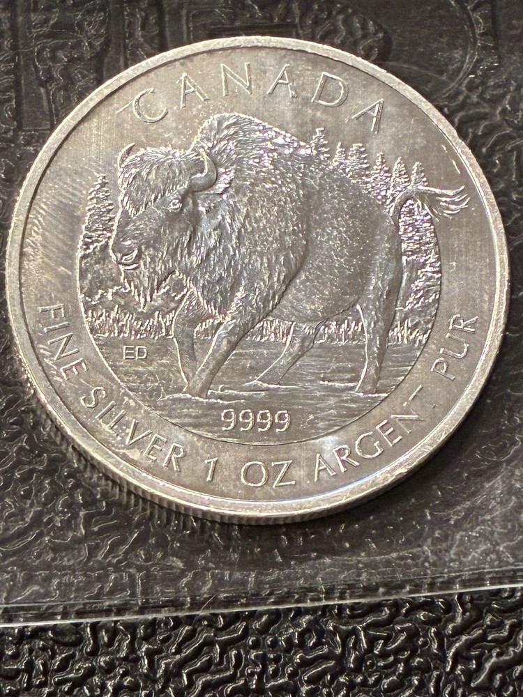 2013 CANADIAN 5 DOLLAR 1 0Z SILVER .999
