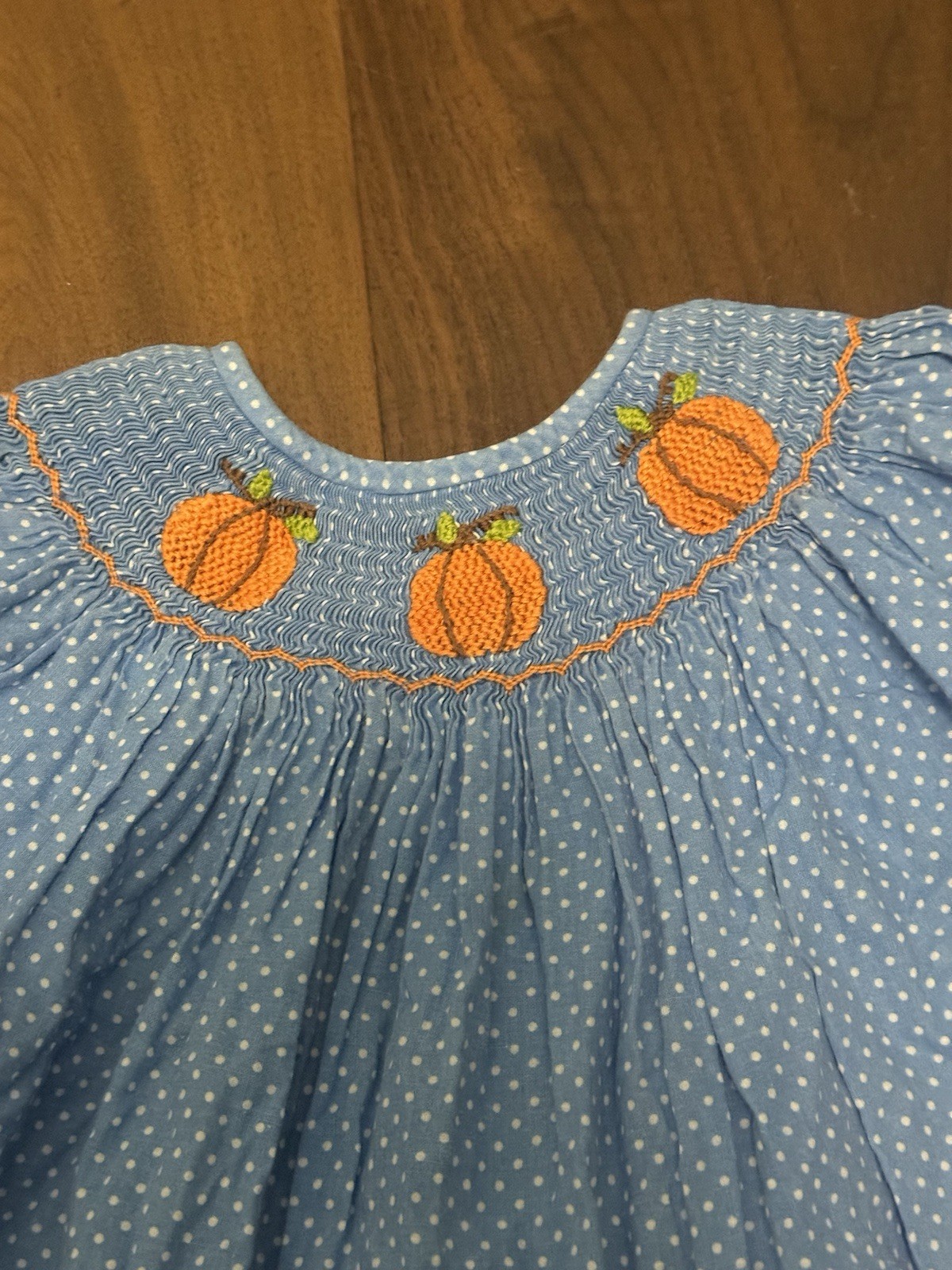 Smocked Sweets Size 3 Two Piece Blue Fall Outfit Smocked Pumpkins Girls