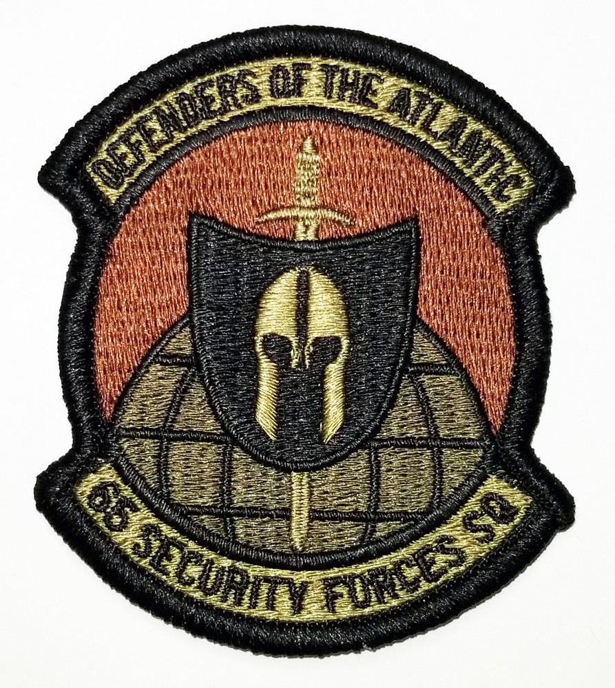 US Air Force 65th Security Forces Squadron Subdued Hook Back Patch
