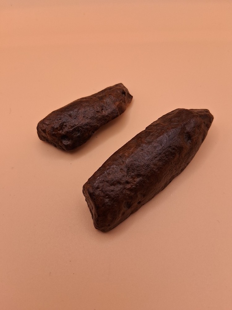 Fossilized Bone