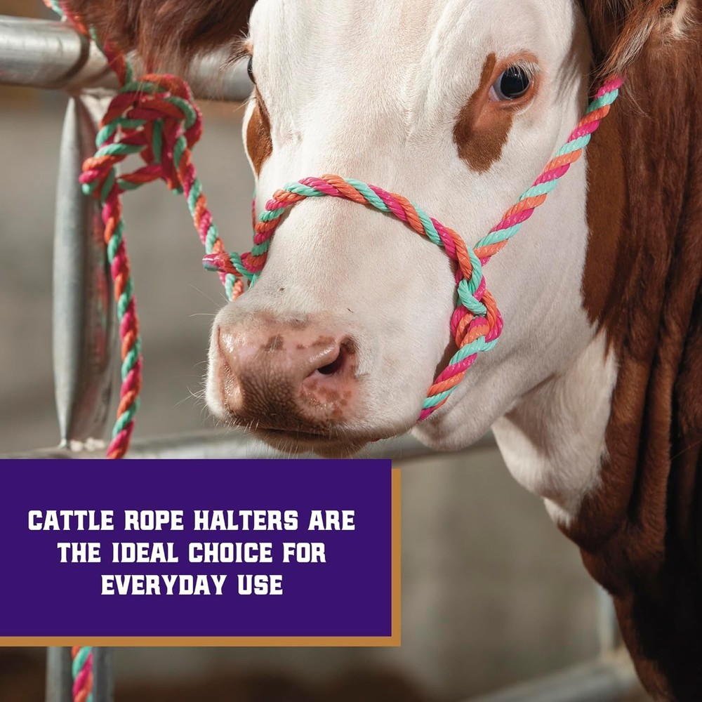 braided poly rope livestock cattle halter adjustable