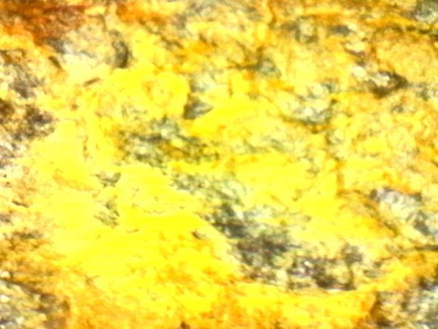 Gold and Platinum Mineral Specimen/ Black Hills South Dakota