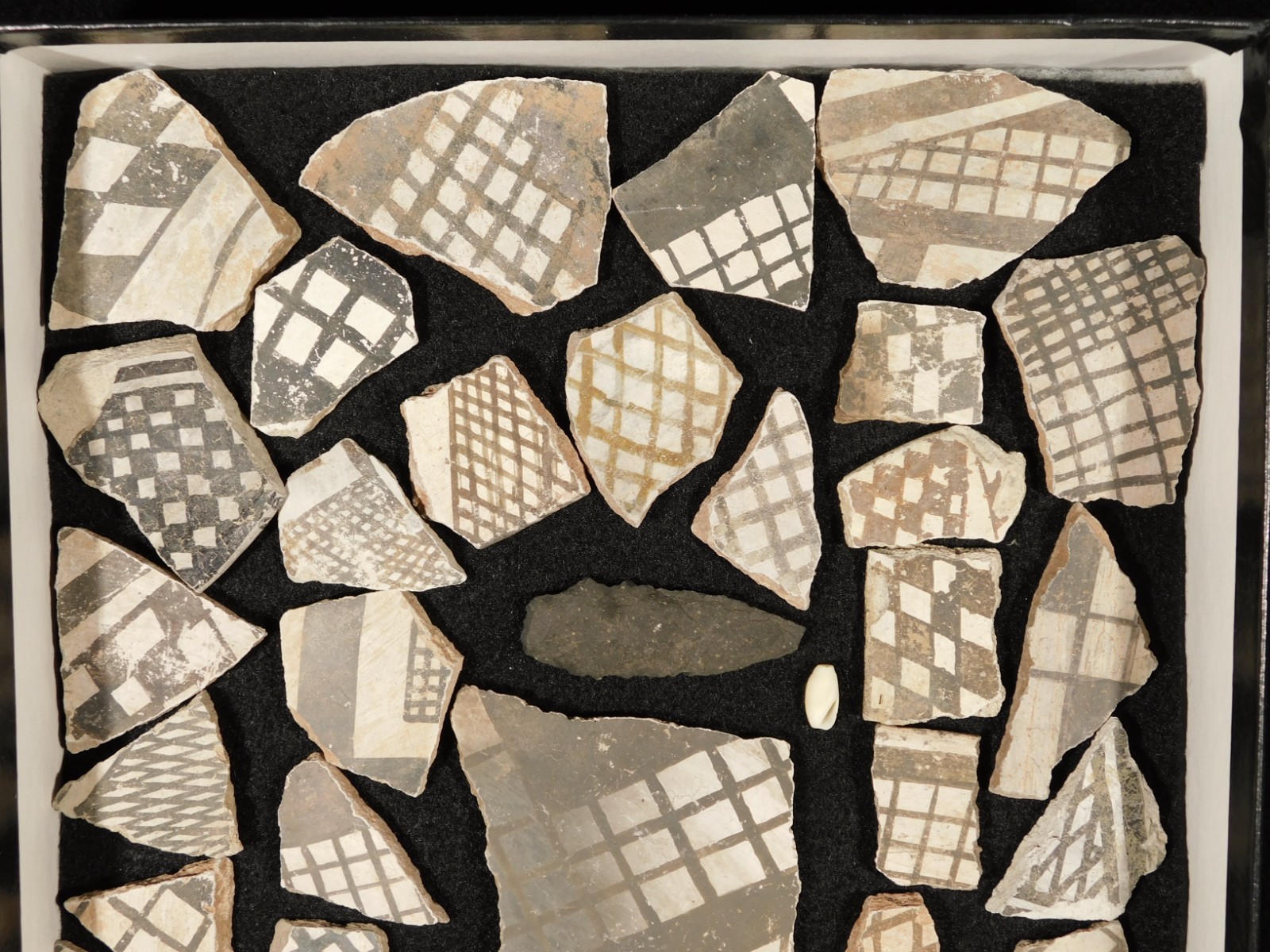 Big Lot! of ANASAZI Pottery Shards or Sherds in Wall Mountable Frame Arizona