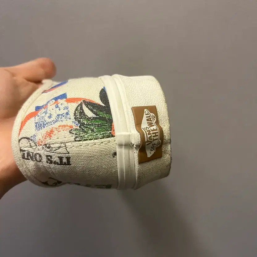 Vans Authentic Earth Graphic Sneakers
