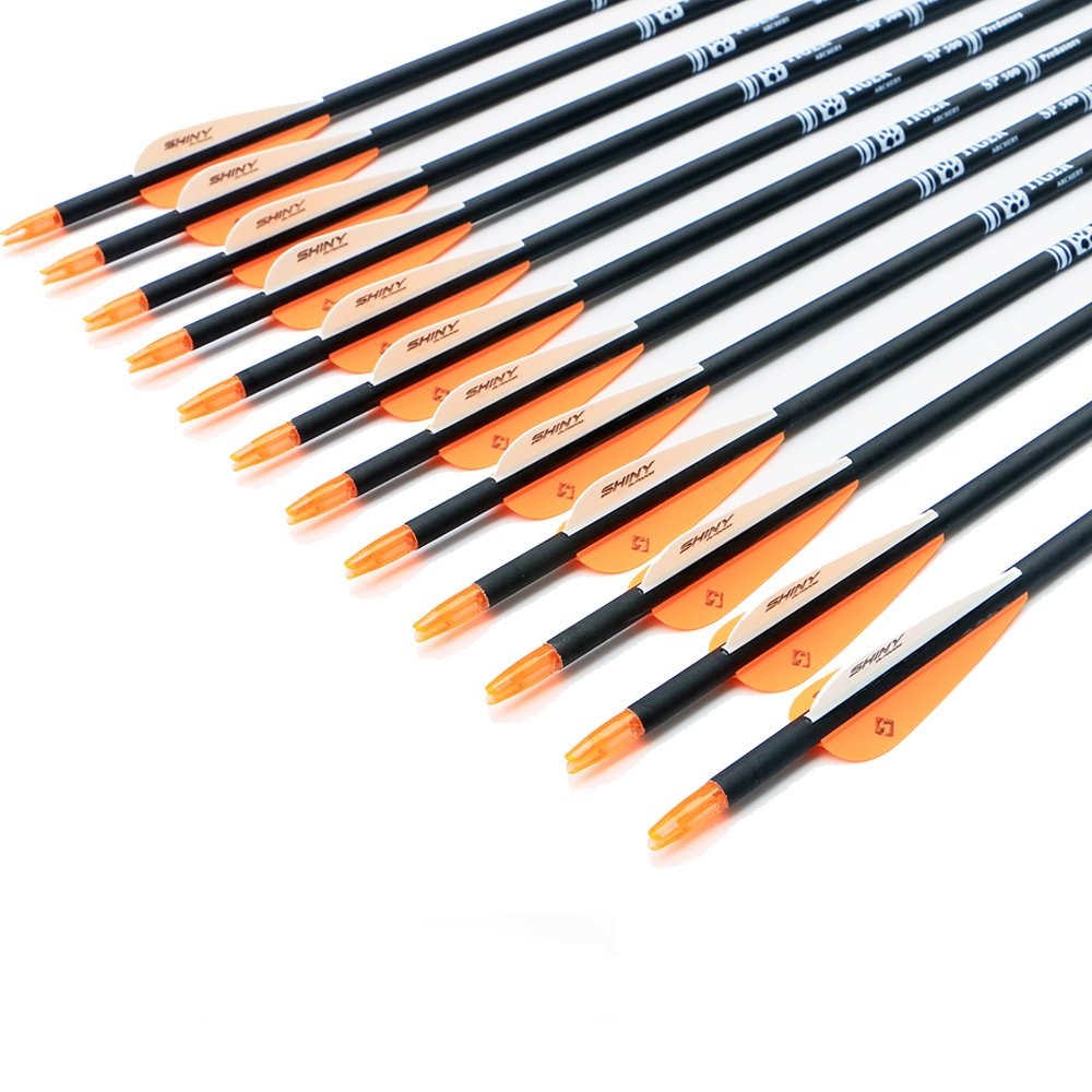 30Inch Carbon Arrow Practice Hunting Arrows with Removable Tips for Compound ...