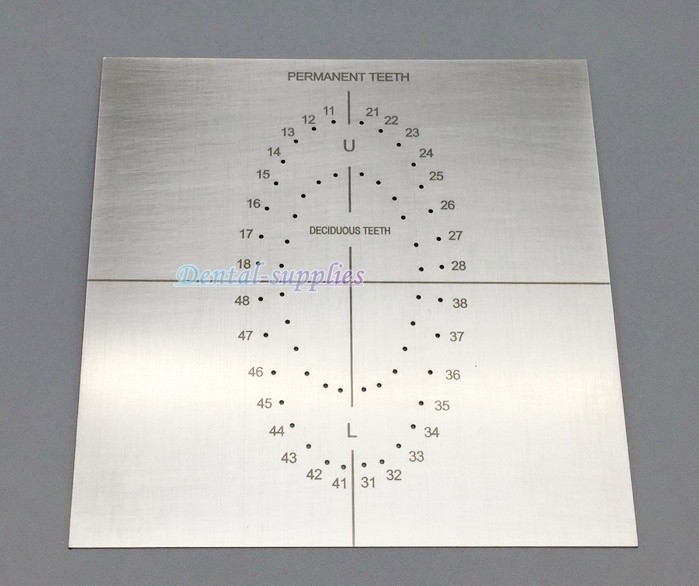Dental Rubber Dam Punch Template