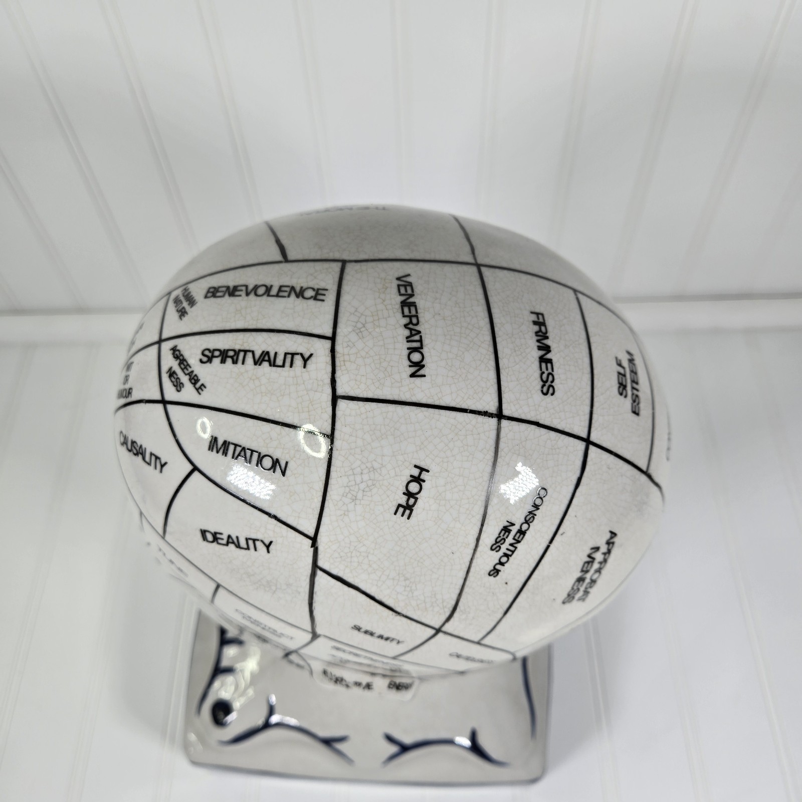 Phrenology Bust Table Head Statue 13” Ceramic Vintage Porcelain Pseudoscience