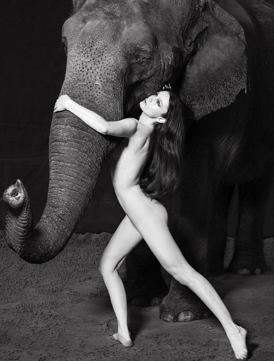 Circus, Clown, Carnivals, Posters, vintage 4" x 6" photo reprint Quality 015 *