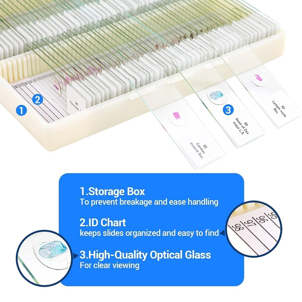 Optical Glass Prepared Microscope Slides - 100 Specimens for Science Exploration