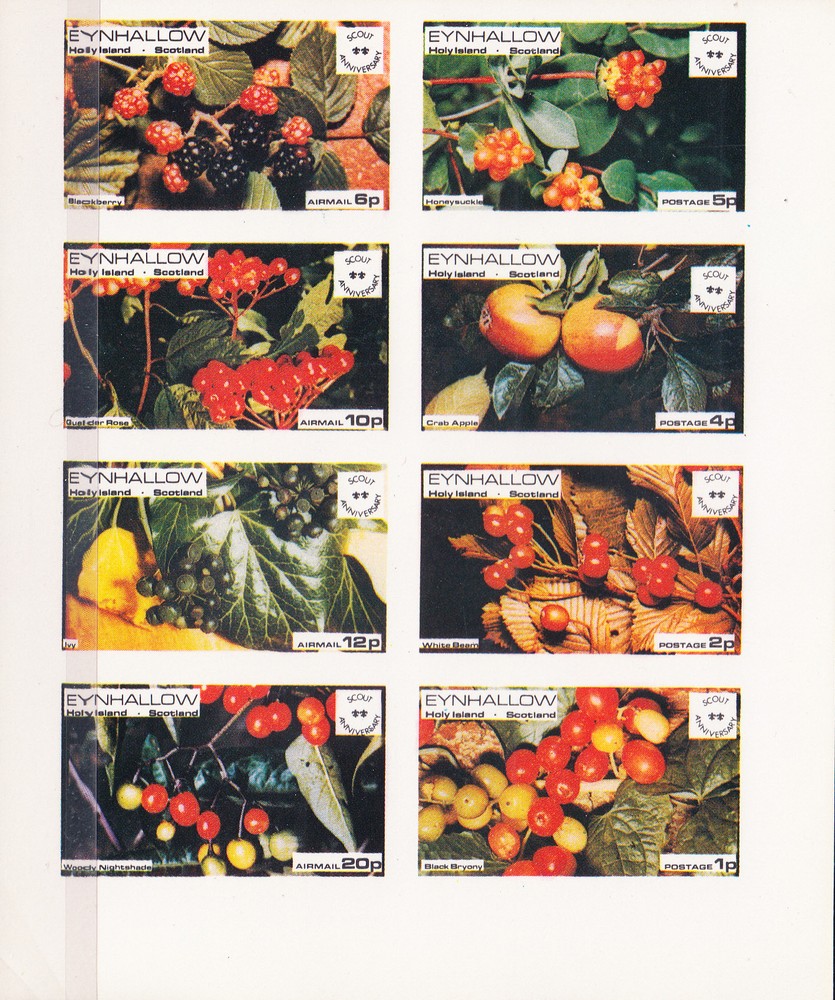 W EYNHALLOW 004v FRUITS