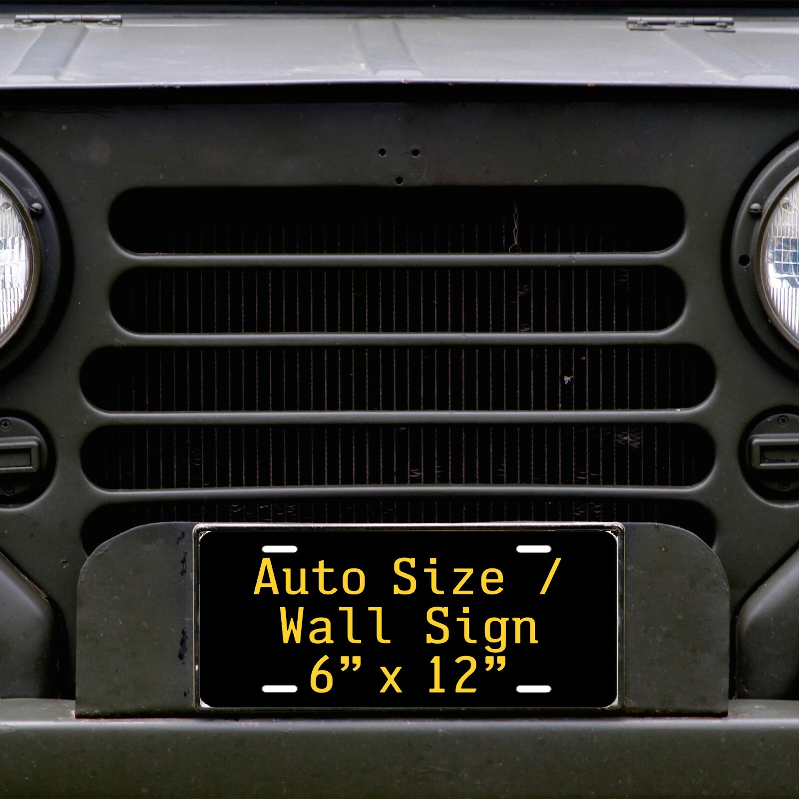 Any State License Plate Tag Personalized Custom Any Text Auto Car Bike Bicycle