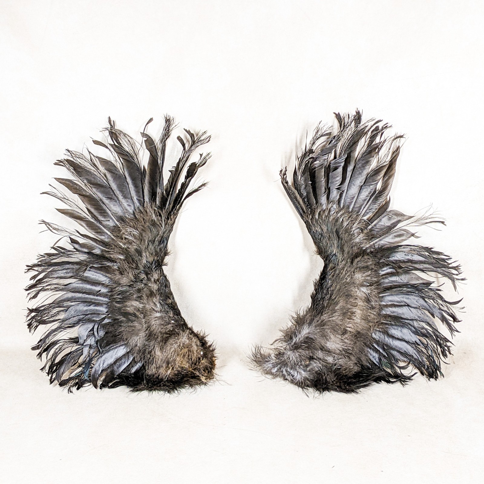 Silkie Chicken Wings Fallen Angel Crafts Bird Feathers pair props costume art