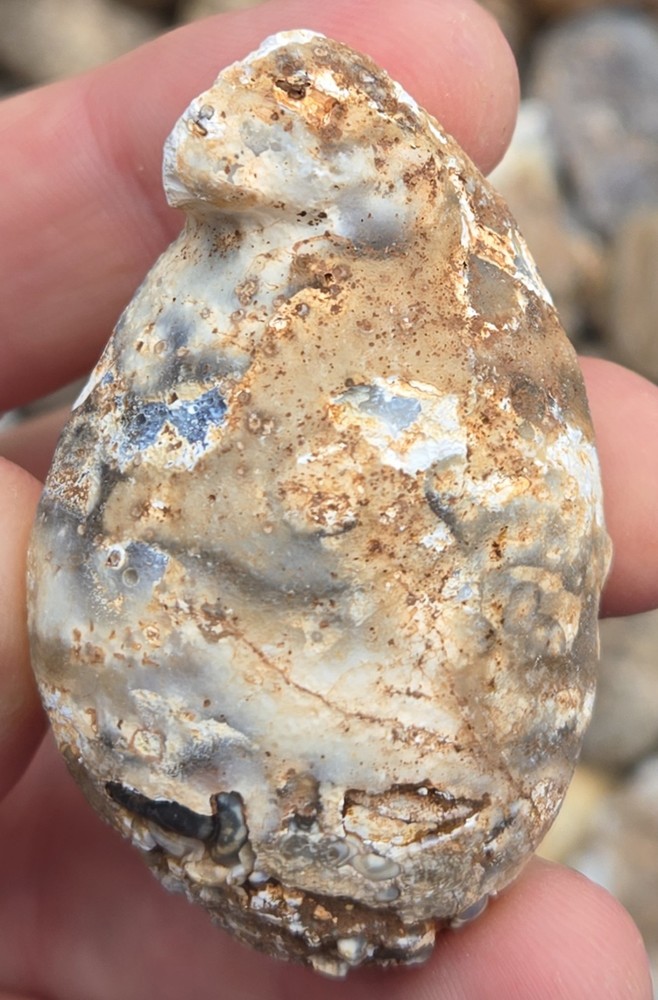 Oco Agate Geodes Whole - Mine Run Rough - 1 Pound Lb - Mostly Solid Agate