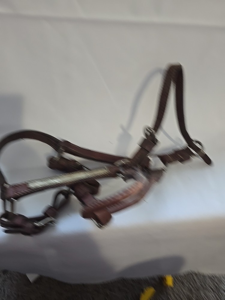 Brown Leather Horse Size Halter (D)