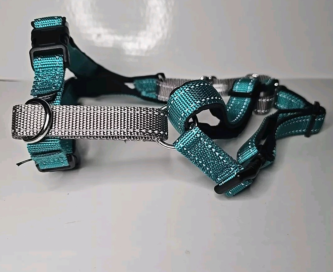 PetSafe 3 in 1 Dog Harness-MEDIUM-Teal-No Pull Design-Car Restraint-Reflective