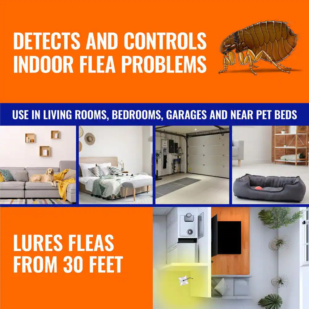 Refillable Flea Trap