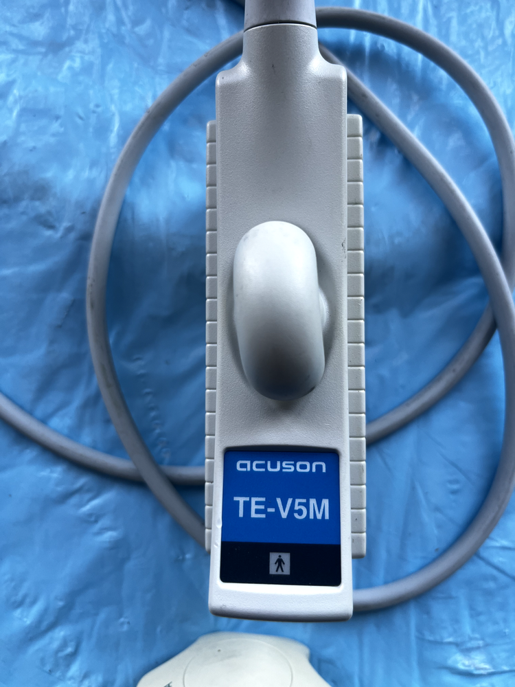 Acuson Transducer/Probe TE-V5M