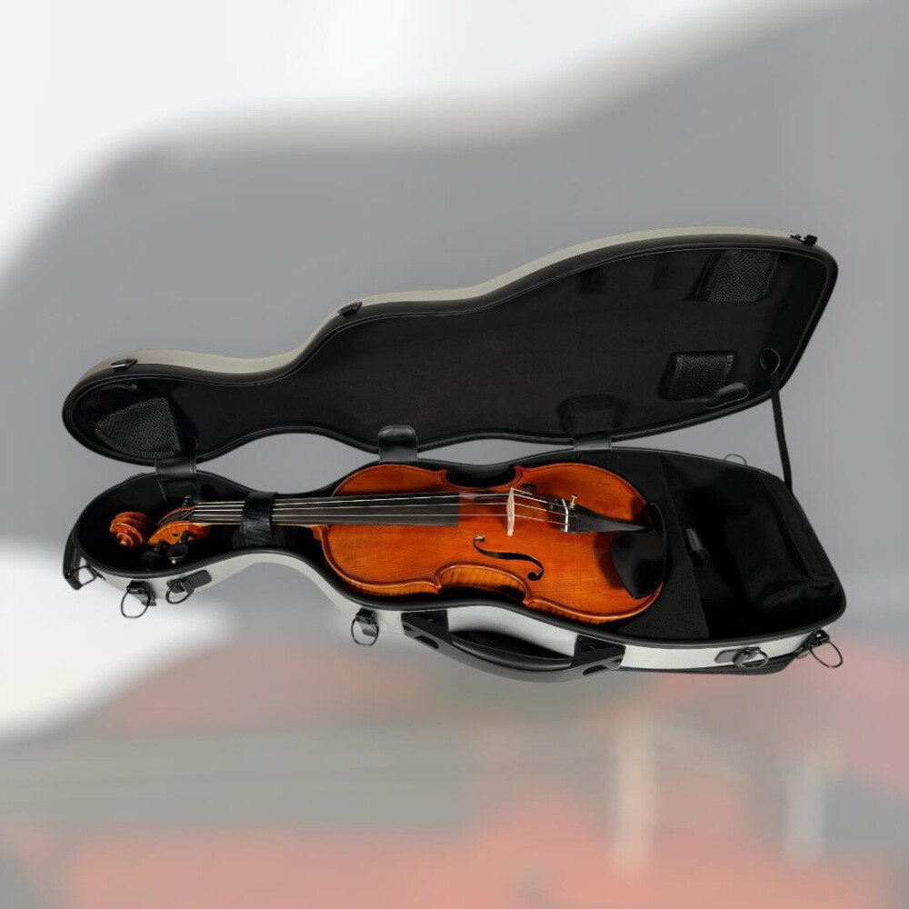 Petz CSV11 Case (Case) for 4/4 Violin (Violin), Silver