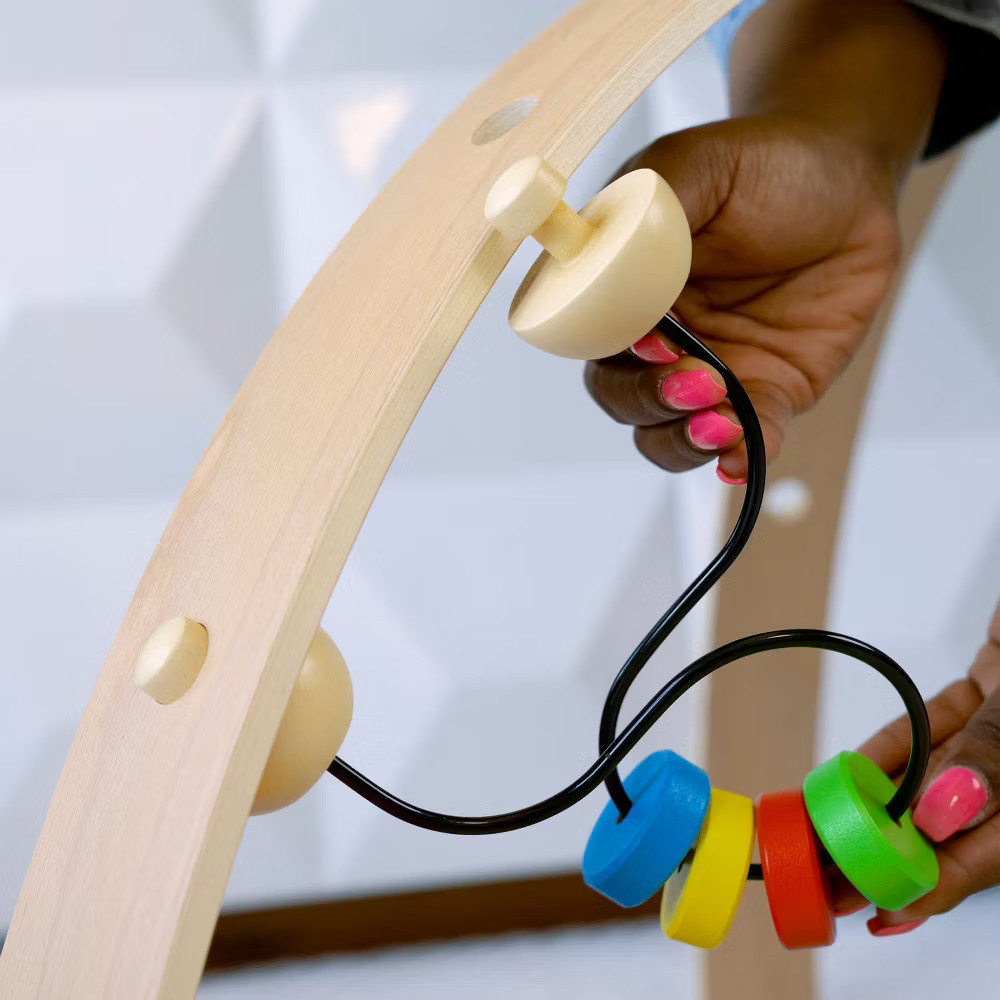 Baby Einstein Zen's Activity Milestones Plush Gym Playmat