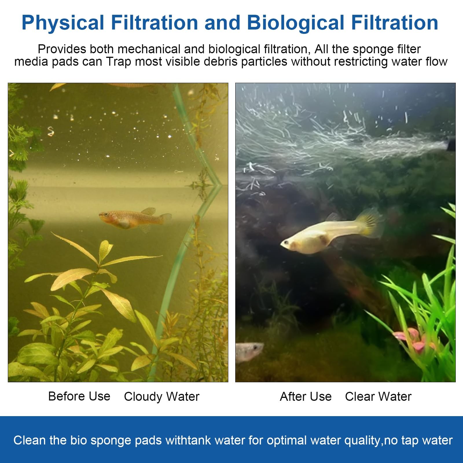 Replacement Canister Filter Pads for Blue Green Black White