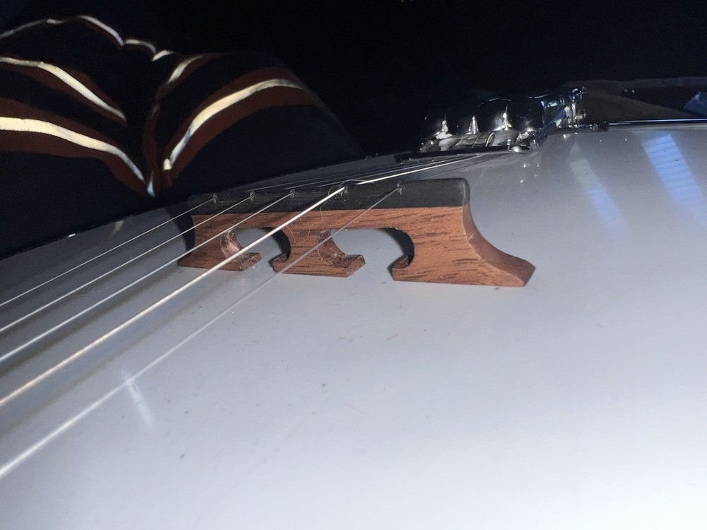 5 String Banjo Bridge