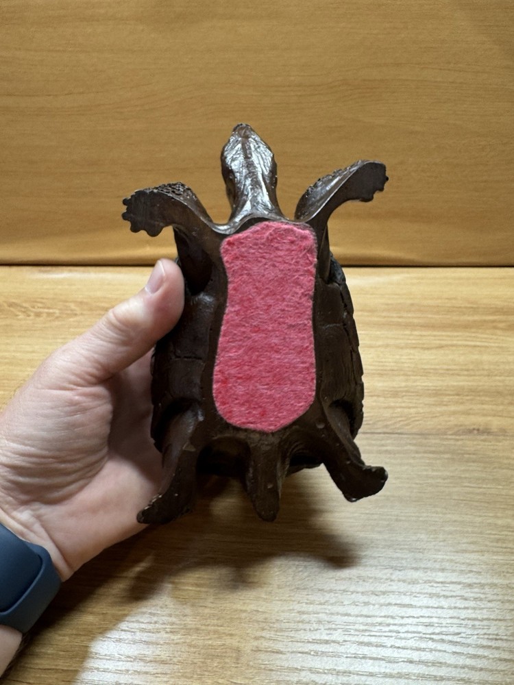 Life Size Turtle Replica Resin Model Figure