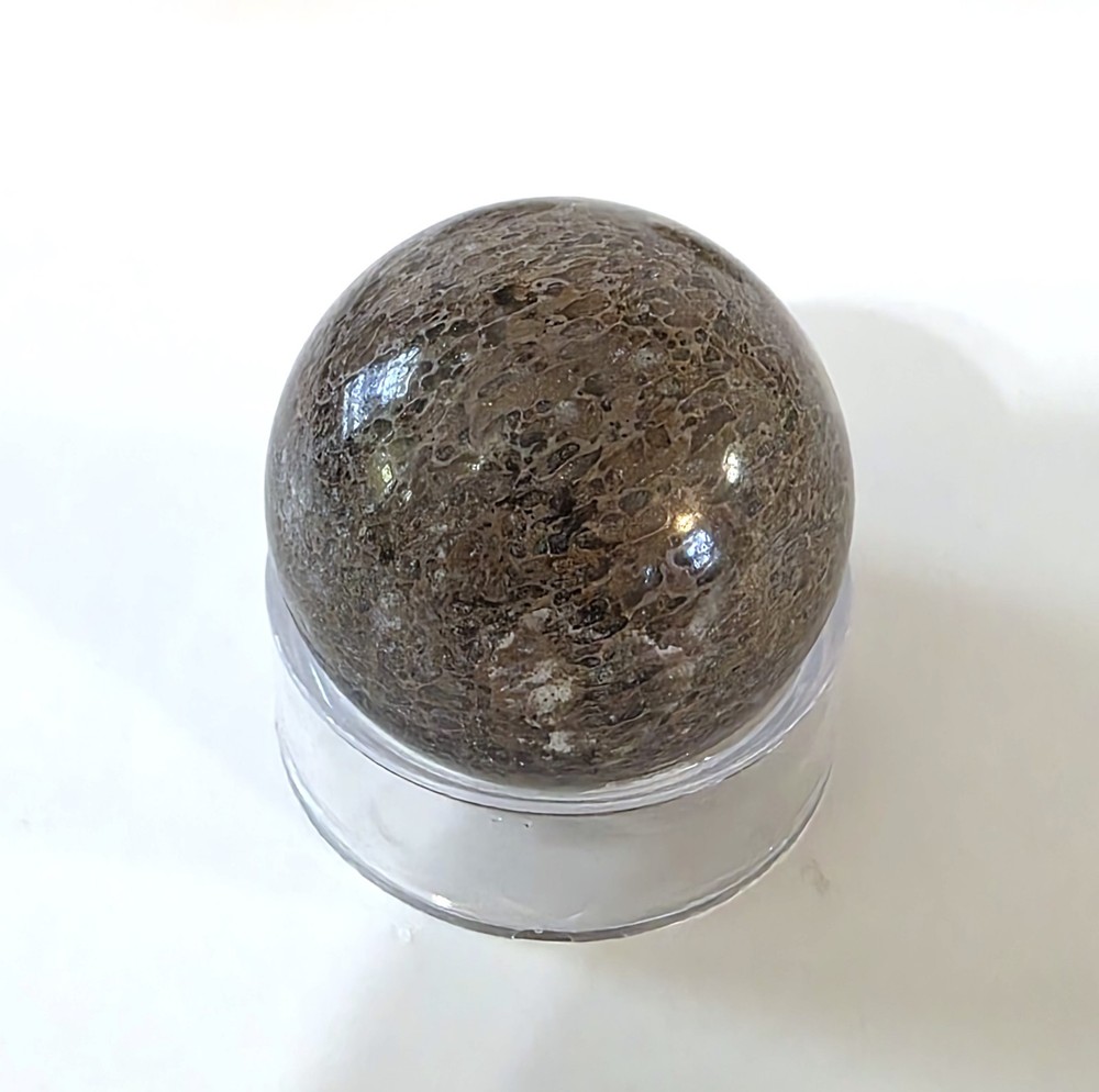Dinosaur Bone Sphere #4- WYSIWYG