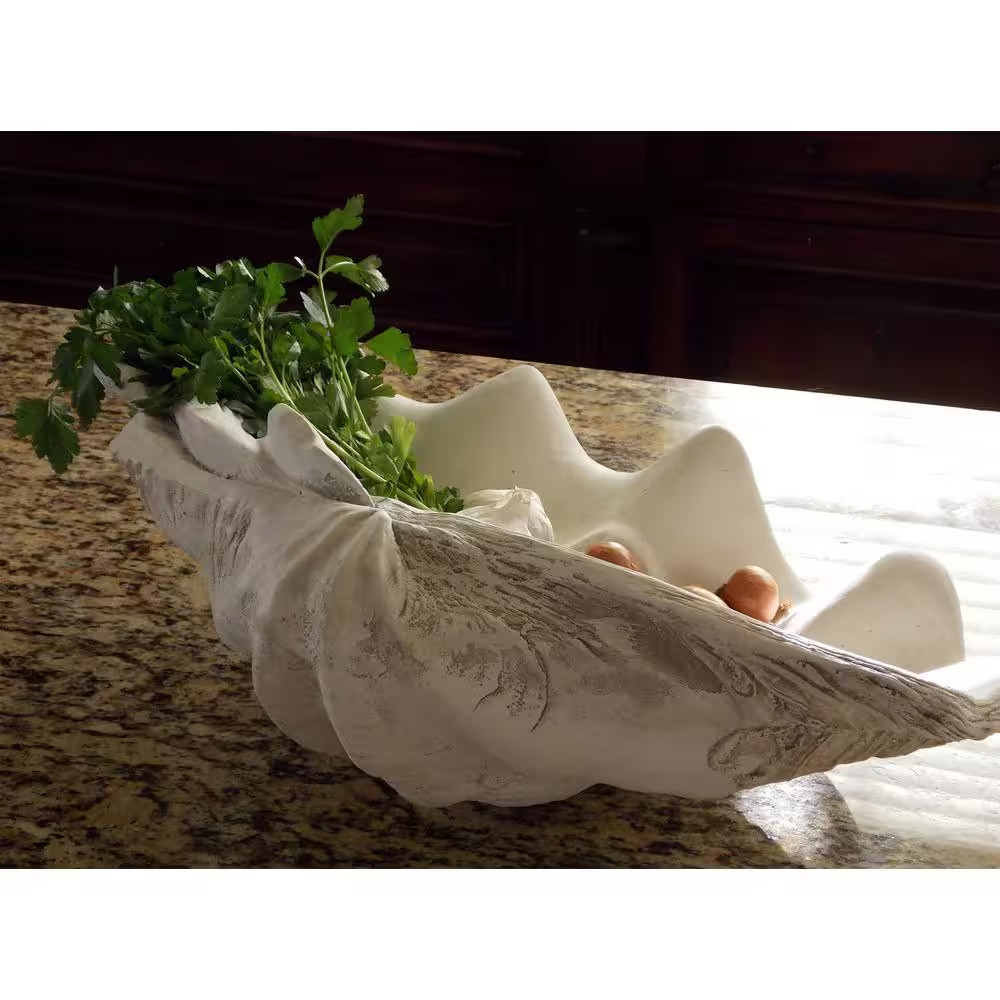 Large Clam Shell