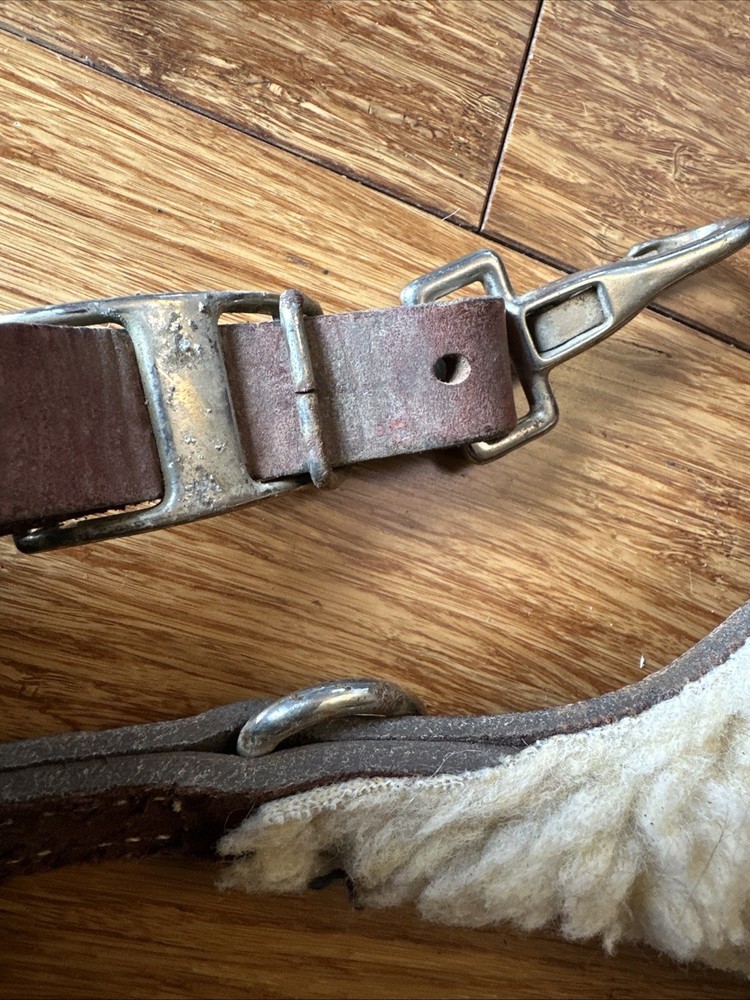 Leather Breast Collar heavy duty used