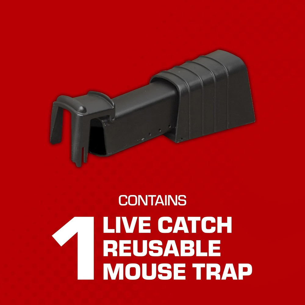 Live Catch Mouse Trap (Single Catch), 1 Trap